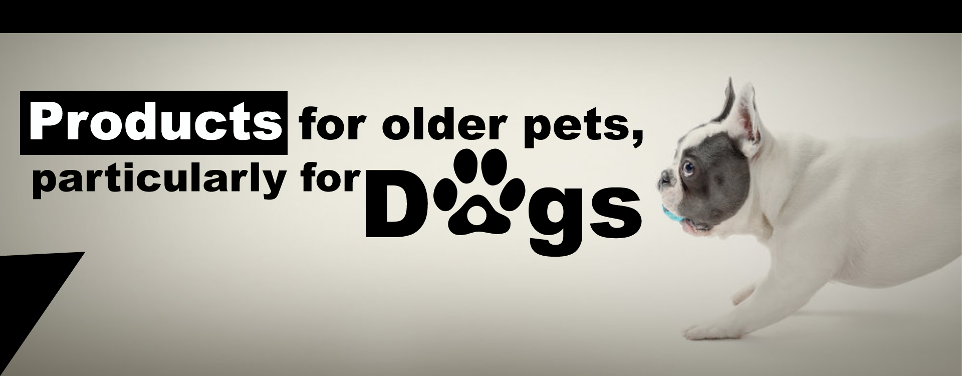 Products-for-older-pets