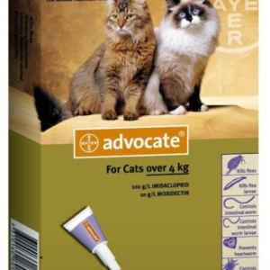 bayer-advocate-spot-on-for-cat
