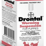 bayer-drontal-puppy