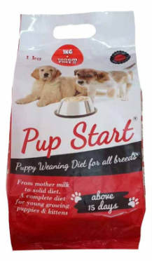 how do you start puppies on solid food