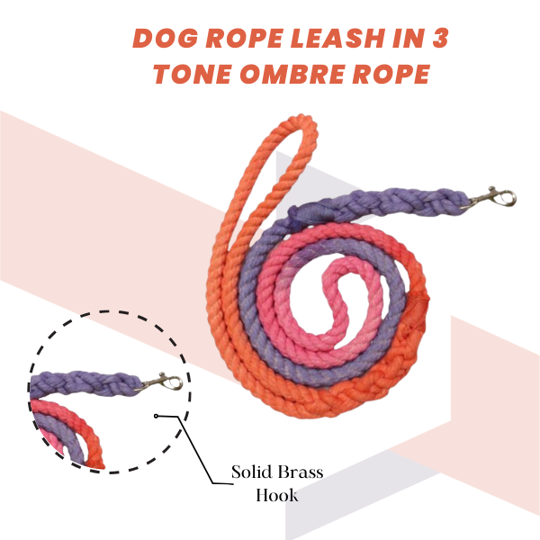 Ombre Dog leash