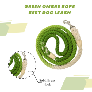 Green Ombre Rope Best Dog Leash