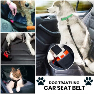 Car seat belt for dogs