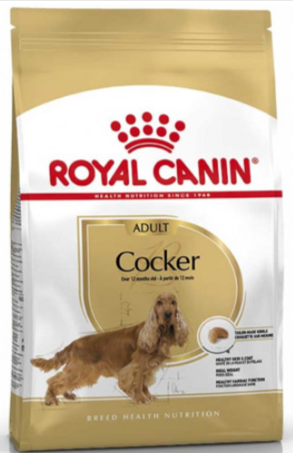 royal-canin-cocker-adult-3kg