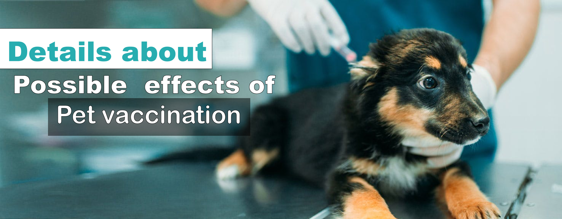 Details-about-Possible-effects-of-Pet-vaccination
