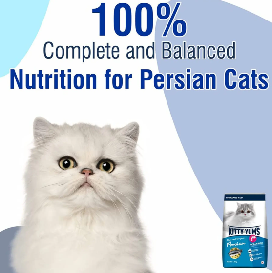 Kitty-Yums-Persian…