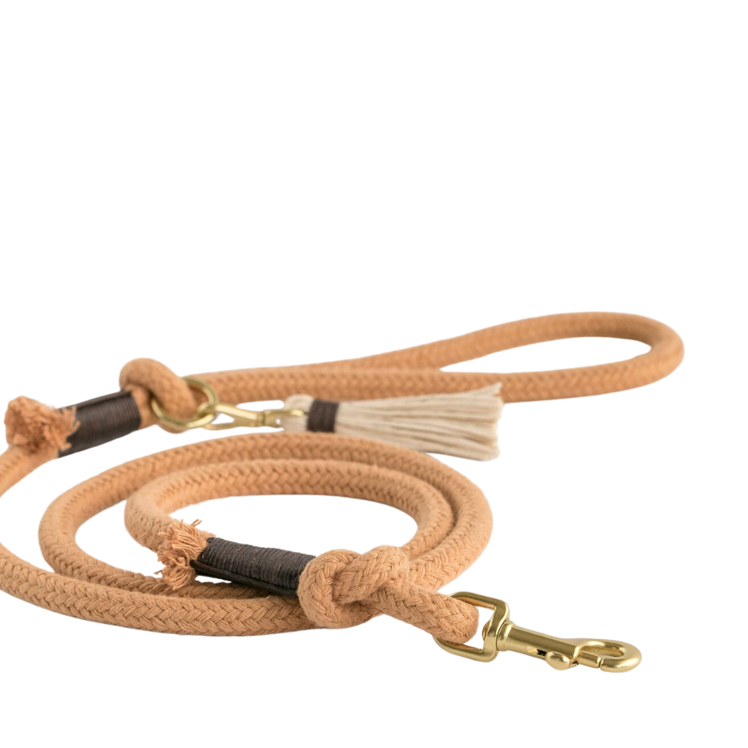 buy dog leash online