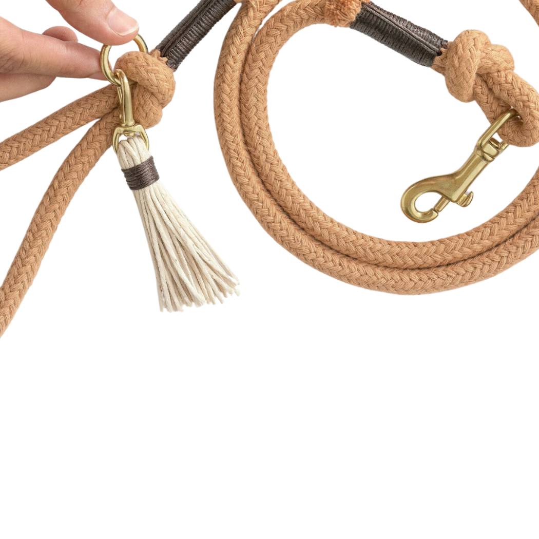 buy pet rope leash