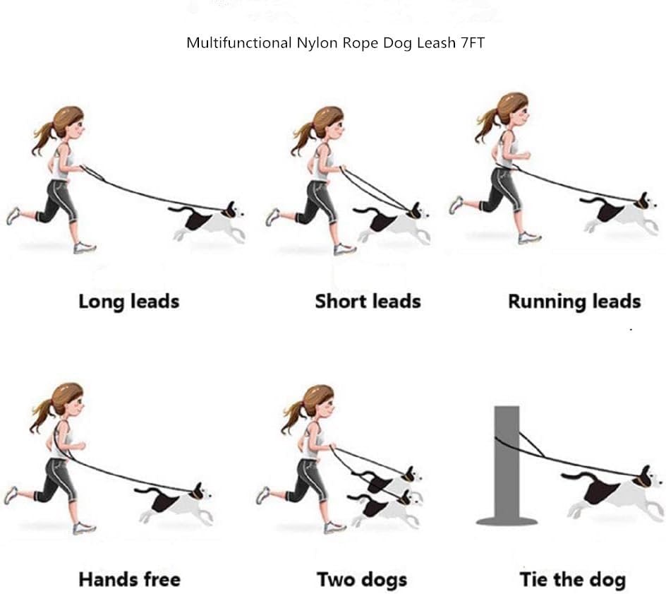 Handsfree dog leash4