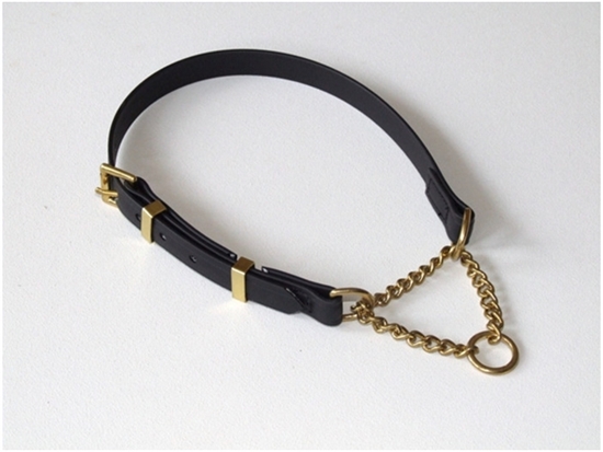black-dog-collar