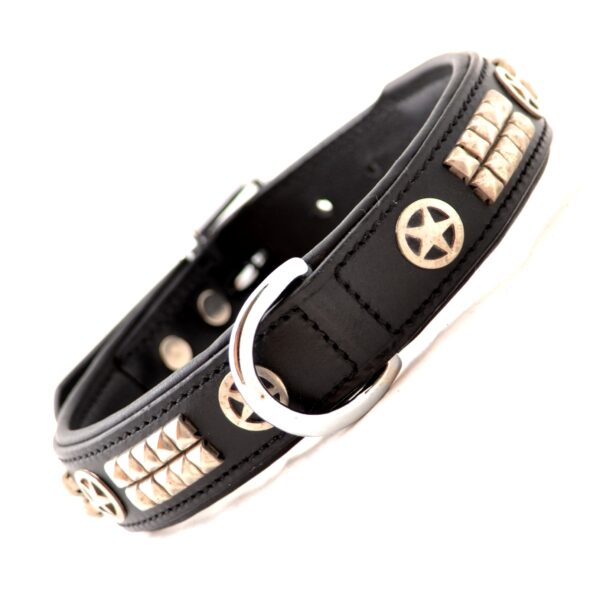 black-leather-dog-collar-with-golden-stud-accessories