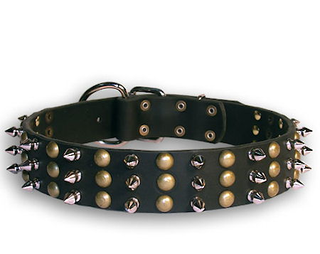black-leather-dog-collar-with-spike-and-golden-stud