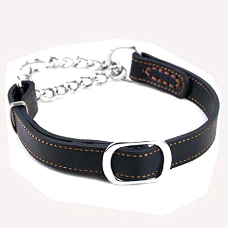 english-leather-martingale-dog-collar-with-chain
