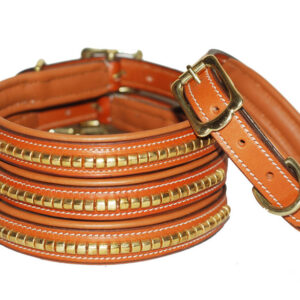 golden-stud-tan-leather-dog-collar-with-brass-buckle