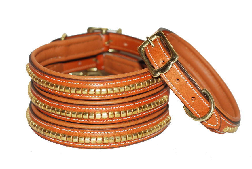 golden-stud-tan-leather-dog-collar-with-brass-buckle