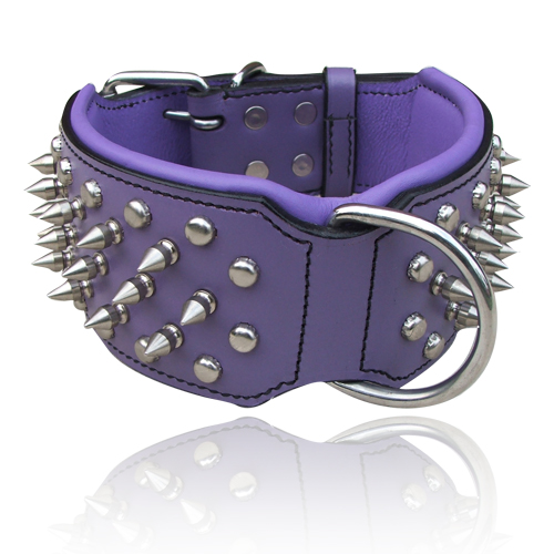 heavy-duty-large-spike-leather-dog-collar