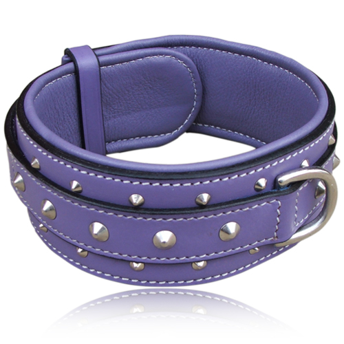 heavy-duty-purple-leather-dog-collar-for-medium-or-large-dogs