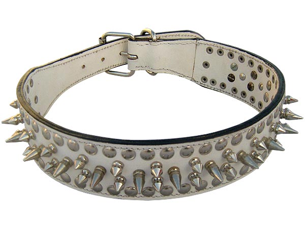 large-spike-white-leather-dog-collar
