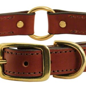 london-style-english-leather-dog-collar