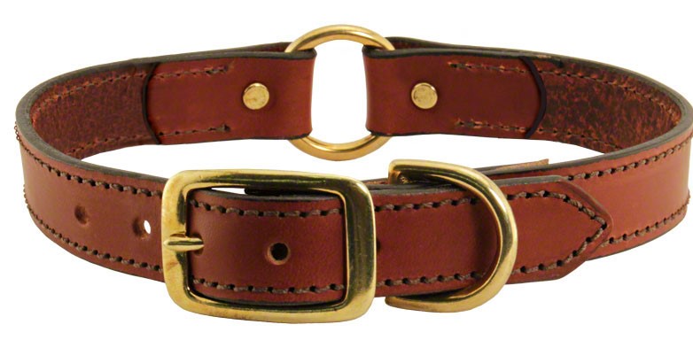 london-style-english-leather-dog-collar