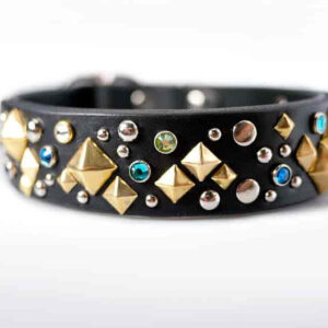 luxury-leather-dog-collar-with-brass-designer-studs