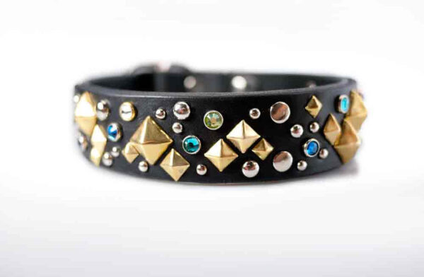 luxury-leather-dog-collar-with-brass-designer-studs
