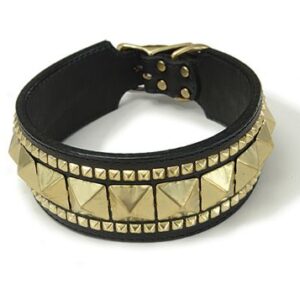 luxury-leather-dog-collar-with-brass-stud