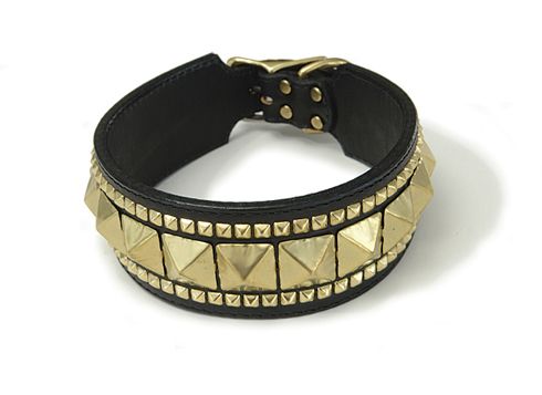 luxury-leather-dog-collar-with-brass-stud