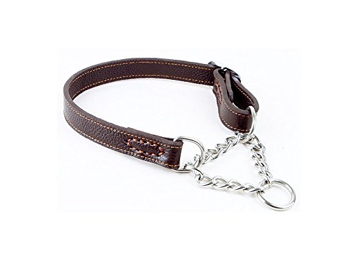 plain-leather-martingale-leather-dog-collar