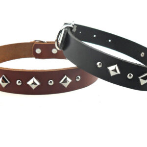 star-stud-luxury-dog-collar