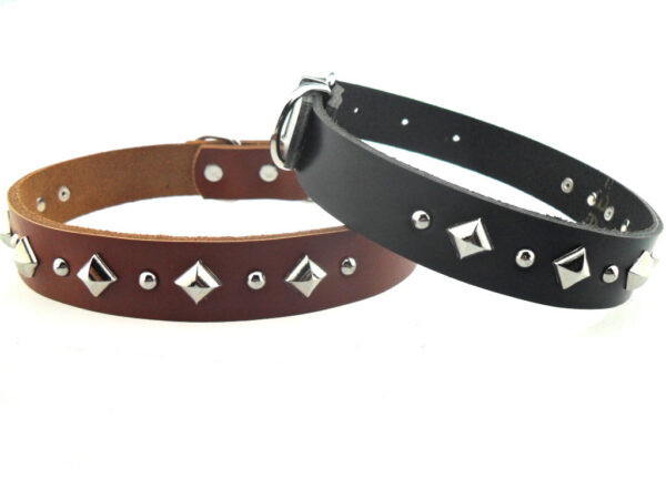 star-stud-luxury-dog-collar