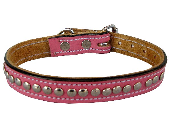 stud-leather-dog-collars-for-small-medium-dogs