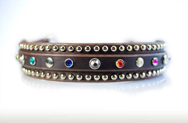 stylish-leather-dog-with-multi-colour-studs