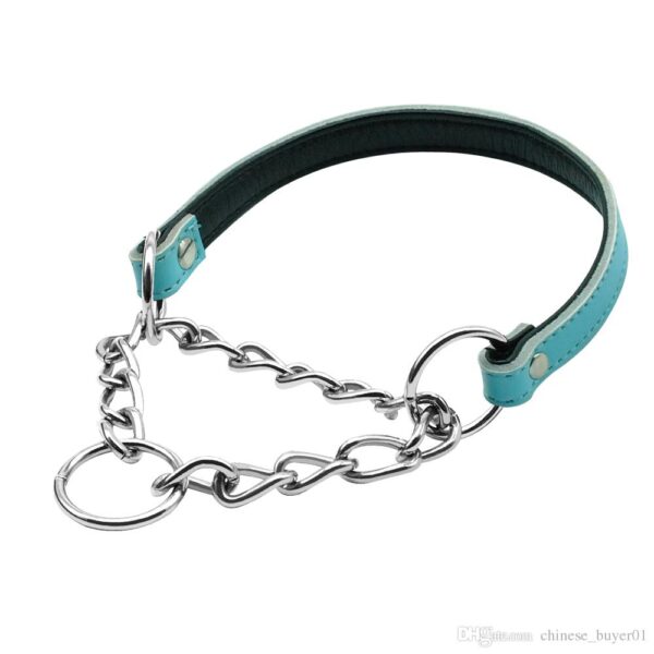turquoise-leather-martingale-collar-for-small-and-medium-dogs