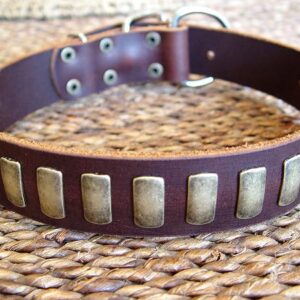 unique-finish-stud-brown-leather-dog-collar