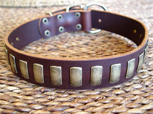 unique-finish-stud-brown-leather-dog-collar