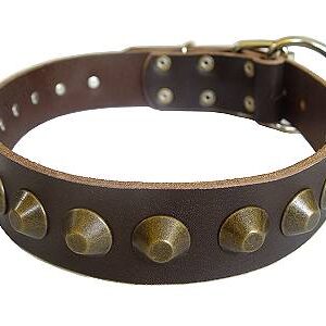 vintage-antique-stud-leather-dog-collar