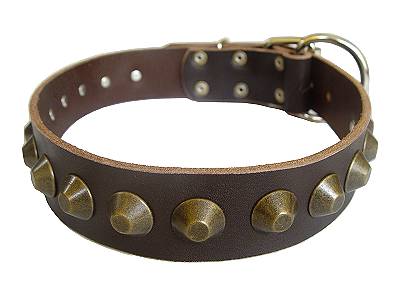 vintage-antique-stud-leather-dog-collar