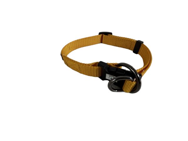 nylon-r-ring-collar